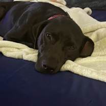 Thumbnail photo of NORI #3