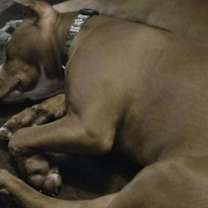 Thumbnail photo of Deuce #1