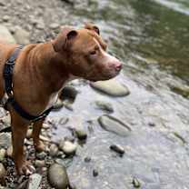 Thumbnail photo of Deuce #2