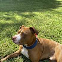 Thumbnail photo of Deuce #3