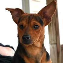 Thumbnail photo of Ricky #1