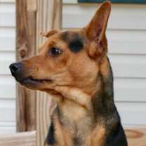 Thumbnail photo of Ricky #2