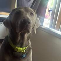 Thumbnail photo of Forest #1