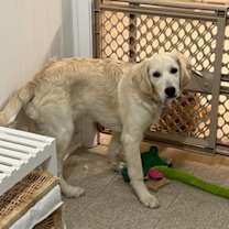 Thumbnail photo of Molly #4