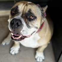 Thumbnail photo of Paquita #1