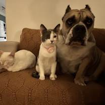 Thumbnail photo of Paquita #3