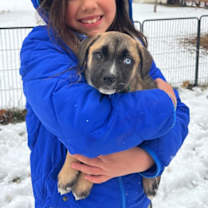 Thumbnail photo of Noelle - Happy Holidays Litter #2