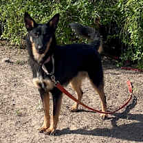 Thumbnail photo of Tucker #1