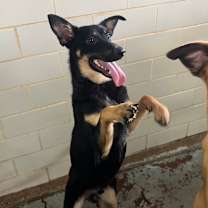 Thumbnail photo of Tucker #4