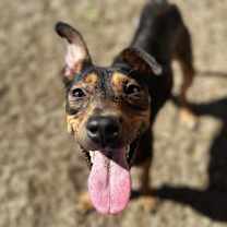 Thumbnail photo of KitKat #3