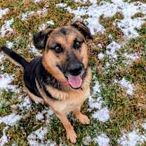 Thumbnail photo of Lucy #1