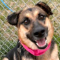 Thumbnail photo of Lucy #3