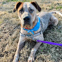 Thumbnail photo of Wonder P4P #3