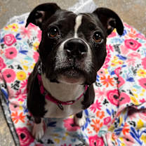 Thumbnail photo of Grace #1