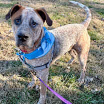 Thumbnail photo of Wonder P4P #4