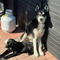 Thumbnail photo of Zeiss #2