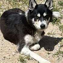 Thumbnail photo of Zeiss #3