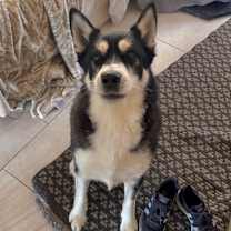 Thumbnail photo of Zeiss #4