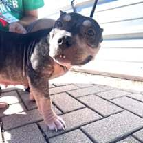 Thumbnail photo of Peaches #1