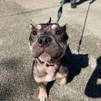 Thumbnail photo of Peaches #2