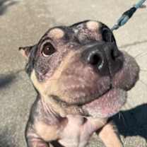 Thumbnail photo of Peaches #3