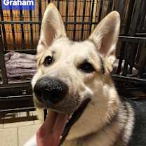 Thumbnail photo of Graham #1