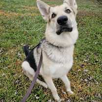 Thumbnail photo of Graham #3