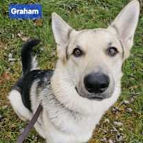 Thumbnail photo of Graham #4