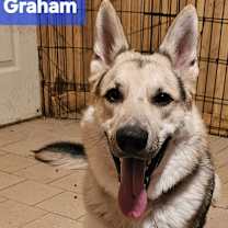 Thumbnail photo of Graham #2