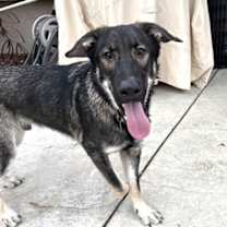 Thumbnail photo of Olaf #3