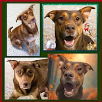 Thumbnail photo of Sophie #3