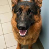 Thumbnail photo of Bread #1