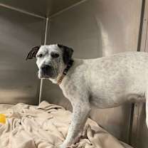 Thumbnail photo of Aiyana #3