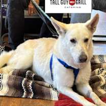 Thumbnail photo of Brie #3