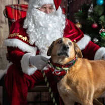 Thumbnail photo of Chewy #1