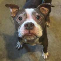 Thumbnail photo of Tank #2