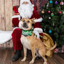 Thumbnail photo of Hades #1