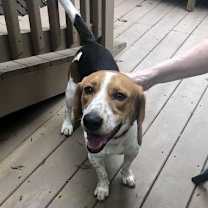 Thumbnail photo of Freddie Mercury #1