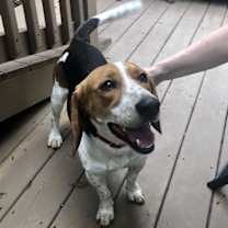 Thumbnail photo of Freddie Mercury #2