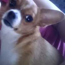 Thumbnail photo of Princess #1