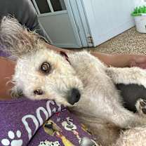 Thumbnail photo of Xena #4