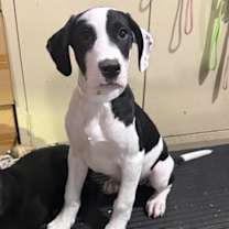 Thumbnail photo of Jean #1