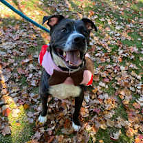 Thumbnail photo of Polaris #3