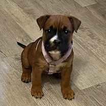 Thumbnail photo of Mariah #3