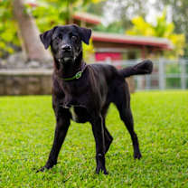 Thumbnail photo of Flash #4