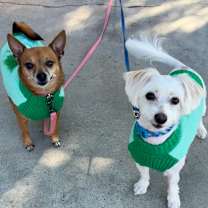 Thumbnail photo of Baby and Coco #2