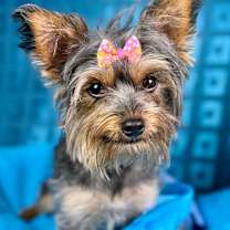 Thumbnail photo of Madie #3