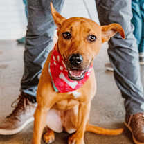 Thumbnail photo of Kayda #2