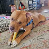 Thumbnail photo of Evan #2