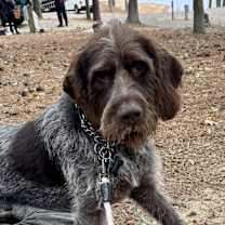 Thumbnail photo of Abe #2